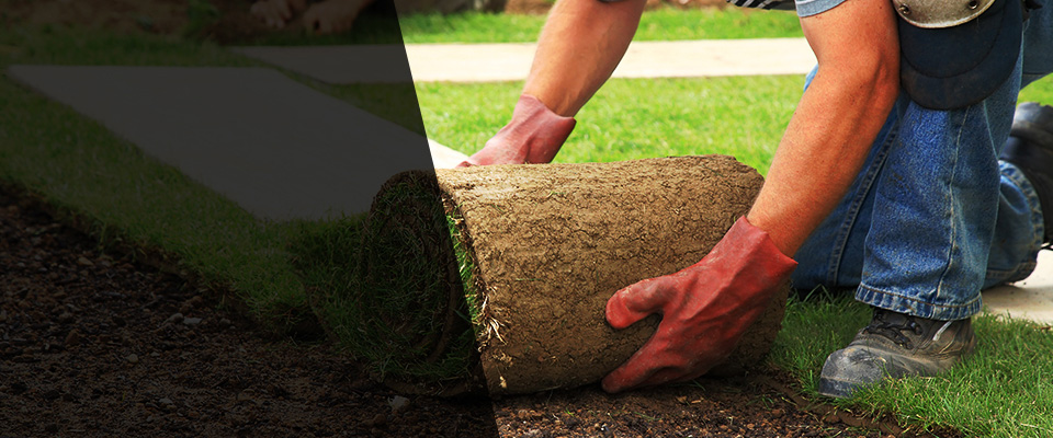 Naugatuck Landscapers